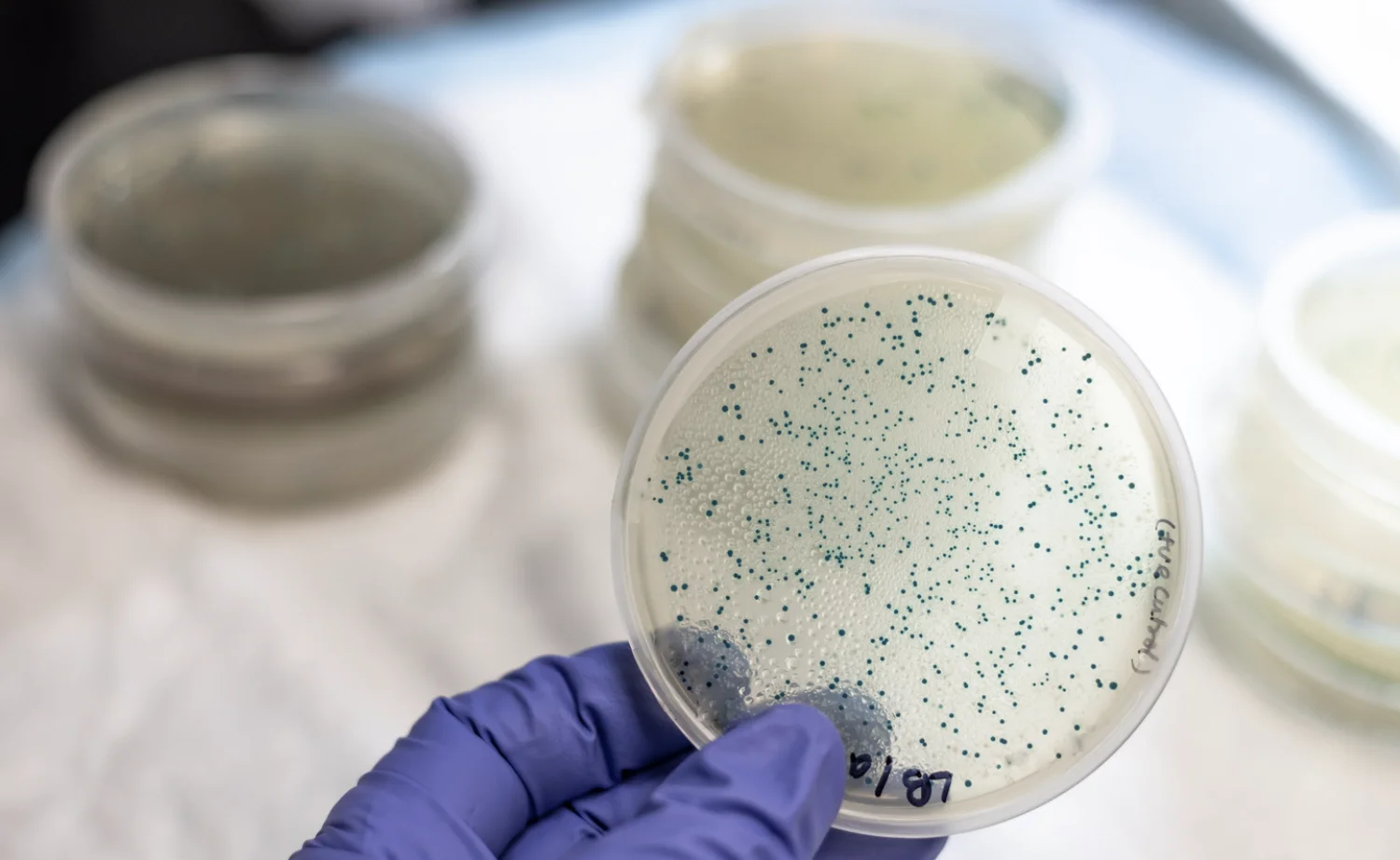Análisis de suelo y nutrientes para agricultura