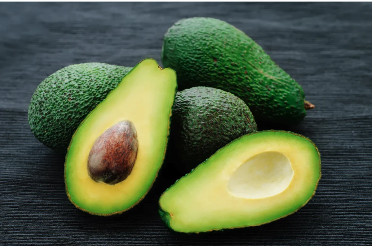 Imagen principal: Análisis de nutrientes en suelos para aguacates
