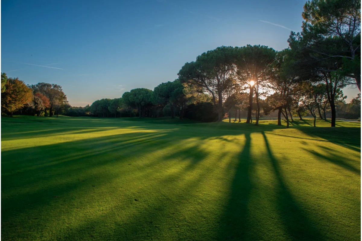 Imagen principal: Análisis de suelos en campos de golf