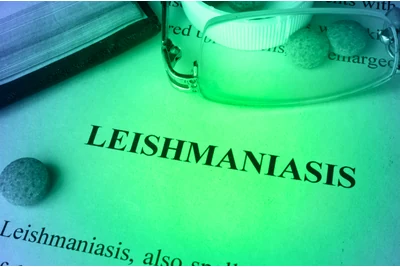 Imagen principal: Diagnóstico Leishmaniosis Perros: Diagnóstico, Prevención y Tratamiento