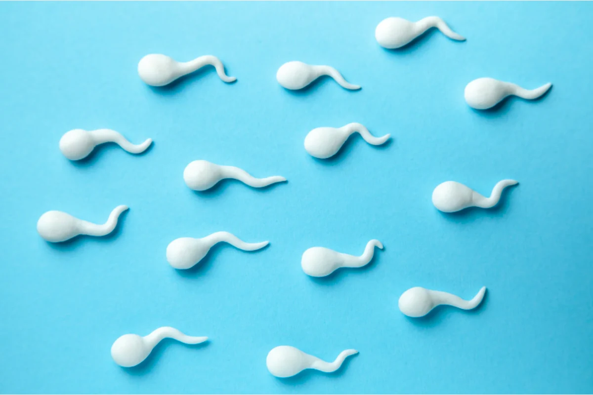 Imagen principal: Estudio genético de fertilidad masculina: microdeleción del cromosoma Y
