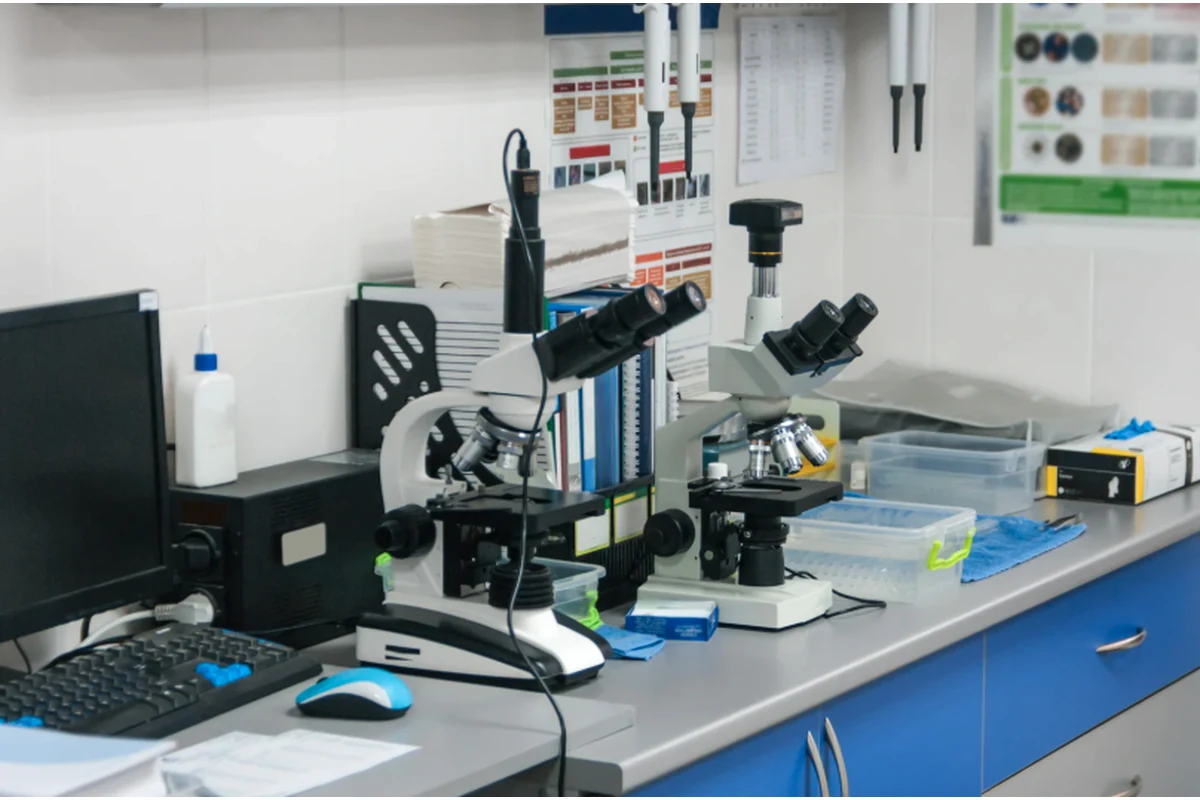 Imagen principal: Laboratorio Veterinario