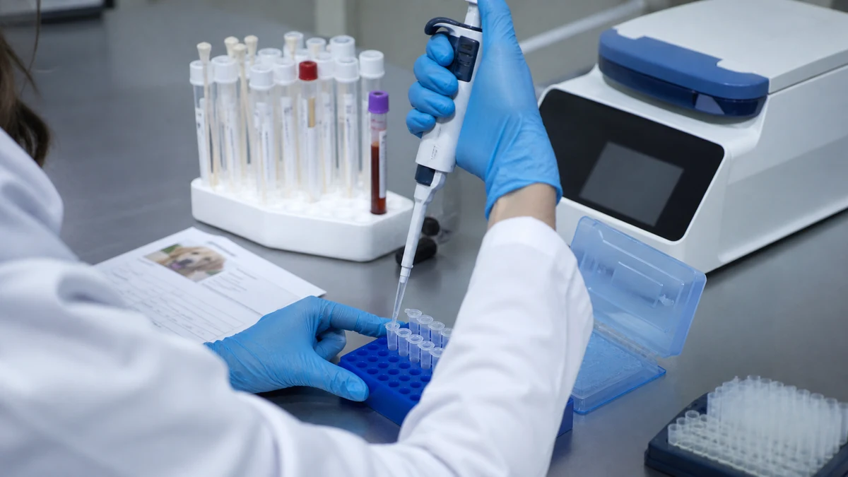 Procesamiento por PCR de muestras para diagnóstico veterinario