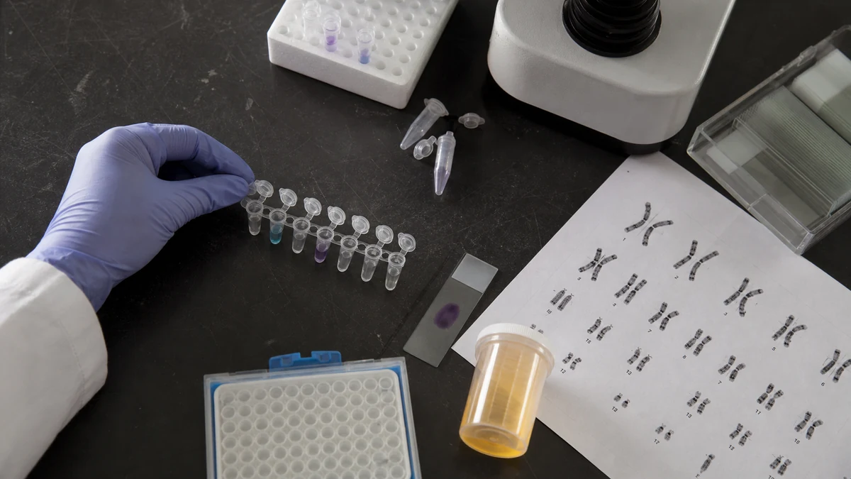 Muestras y técnicas utilizadas en diferentes análisis genéticos de laboratorio