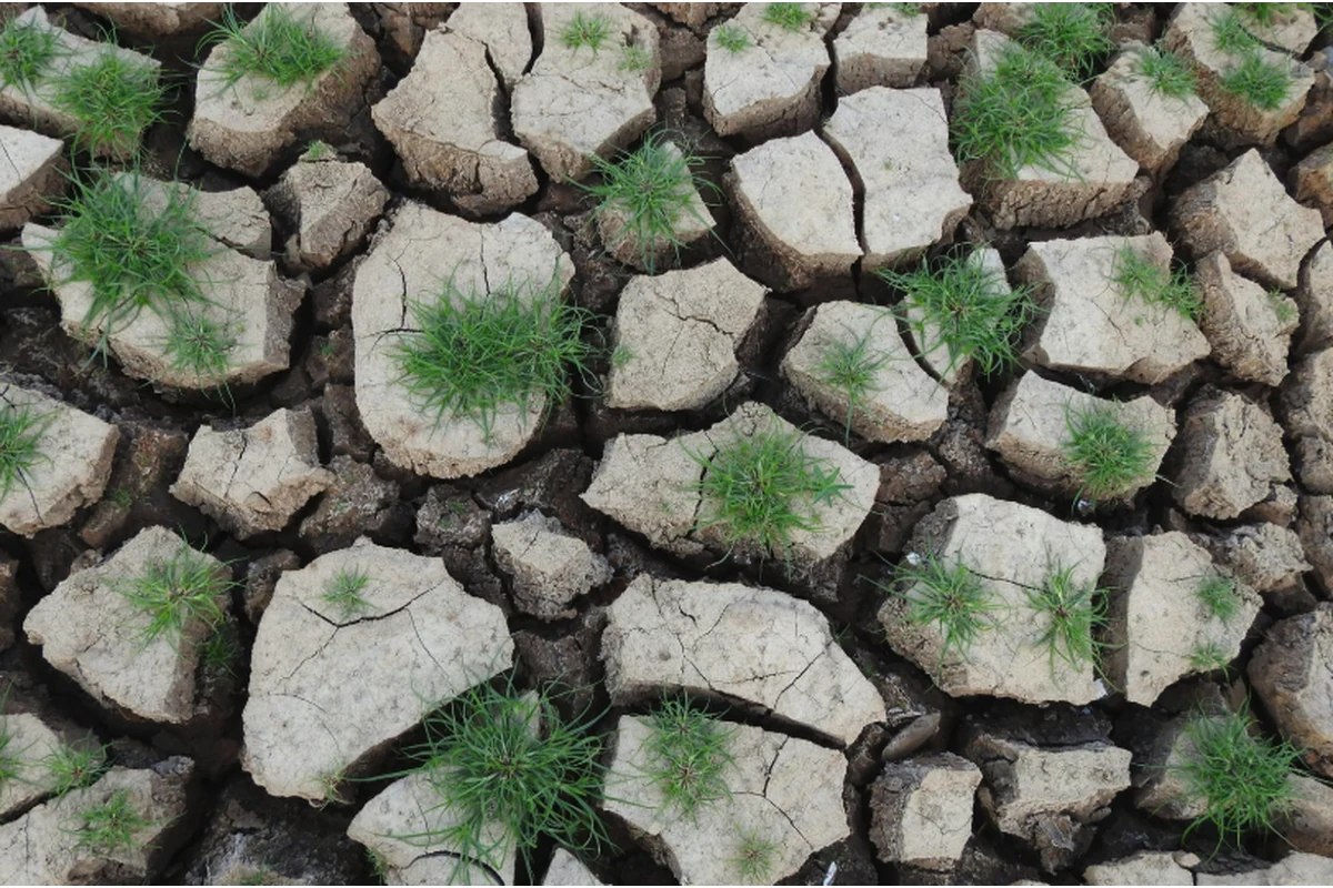 Imagen principal: Sequía y suelos agrícolas