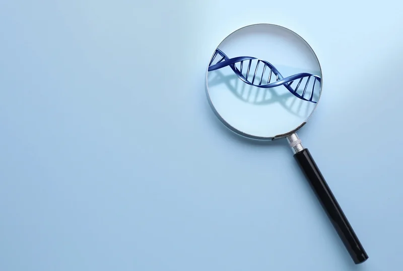 Análisis de ADN y enfermedades hereditarias en animales