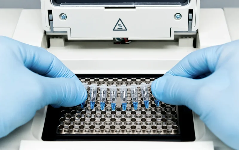 PCR veterinaria