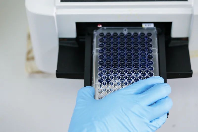 Test ELISA veterinario